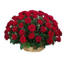 50 Red Roses Basket