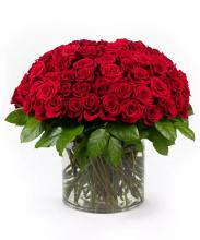 100 red roses in a glass vase